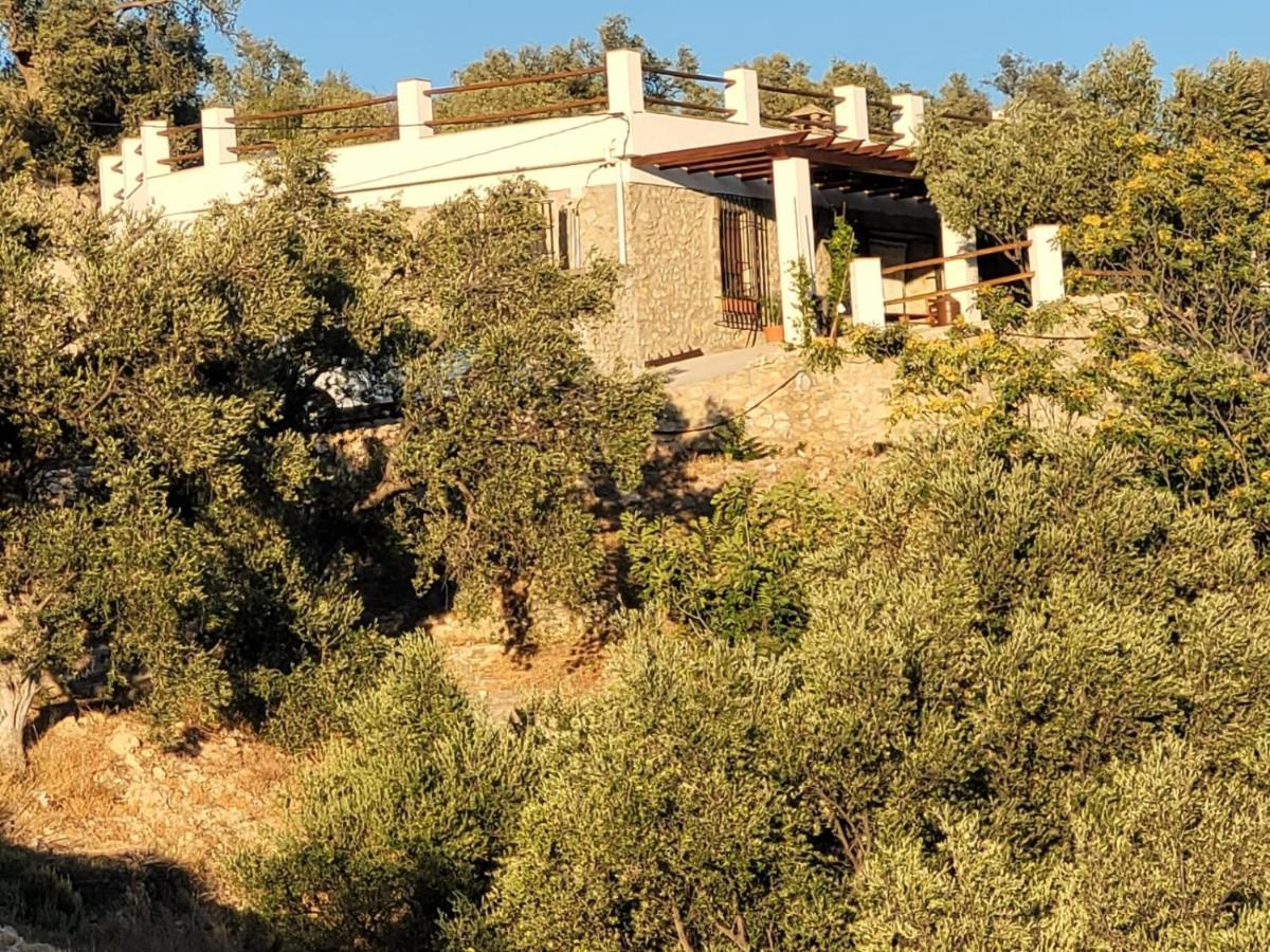 Cortijo Samadhi Konuk evi Lanjarón Dış mekan fotoğraf